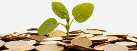 Reksadana, cara mudah dan murah berinvestasi.