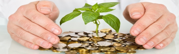 Protecting a good investment and making money concept