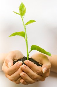 investasi_reksadana_terbaik_2015_