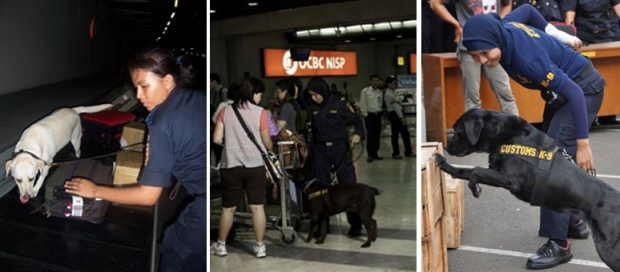 Diana beraksi bersama salah seekor rekan kerjanya.