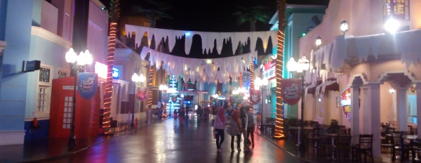 W_IMG_20151229_175830